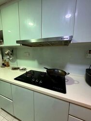 Hazel Park Condominium (D23), Condominium #495983561